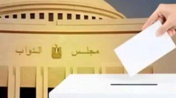 التنافس الانتخابي في القاهرة وشرق وغرب الدلتا بين نظام القوائم والانتخاب الفردي: مَن يحدد مستقبل القطاع؟